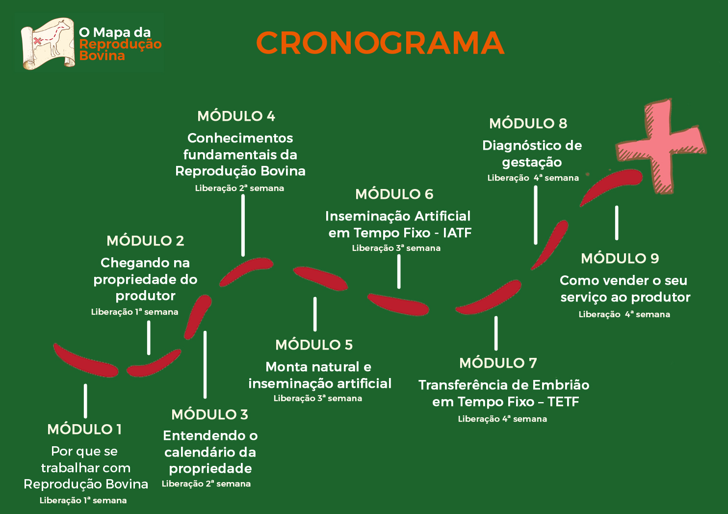 CRONOGRA definitivo